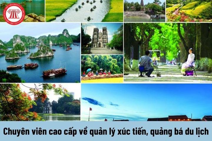 Hotspot Matrix và Nghiên Cứu: Người Phụ Nữ Không Ngủ 40 Năm