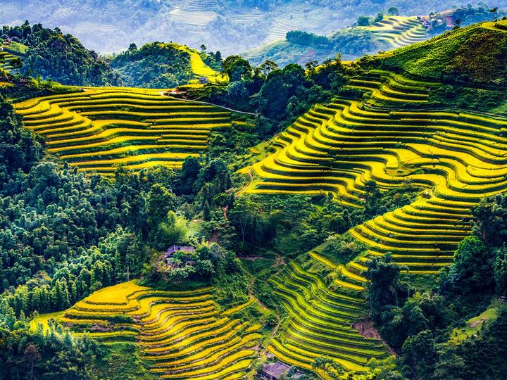 Loài cá kỳ lạ nhất châu Phi: - Cảm hứng video marketing từ Hotspot Matrix