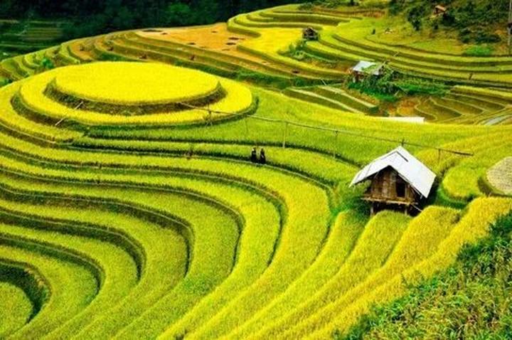 Cô giáo mầm non và hành trình 