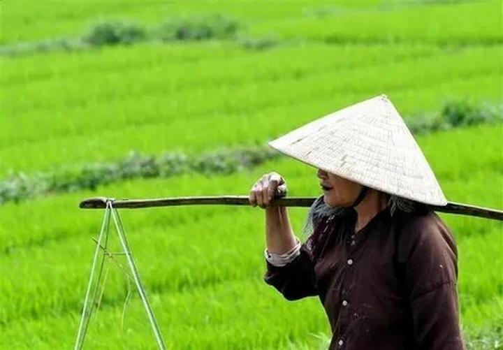 Cảnh báo cháy nổ: Hotspot Matrix và củ sạc điện thoại