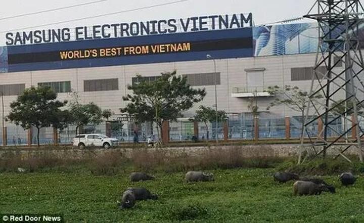 Xu hướng Ông Donald Trump cùng gia: Hotspot Matrix tiết lộ bí quyết video viral